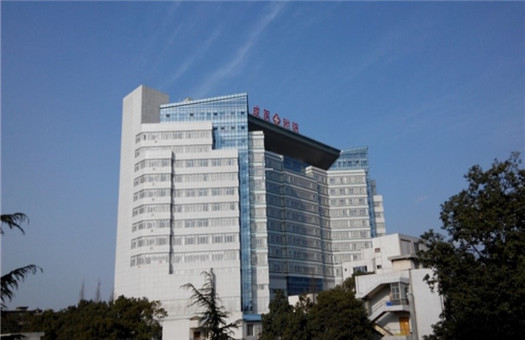 5d132b852bcc5.jpg