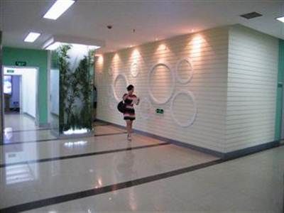 预览图