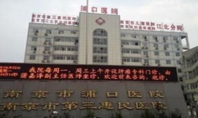 预览图
