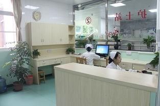 预览图