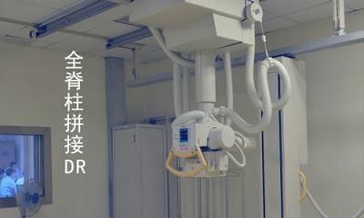 预览图