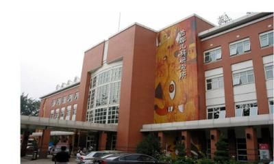 预览图