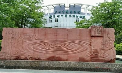 预览图