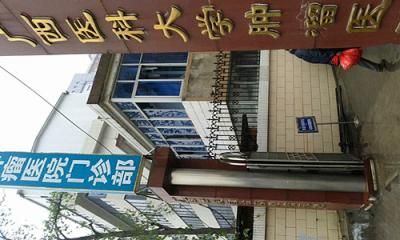 预览图