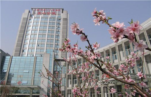 上海市第一人民医院体检中心(宝山分院)