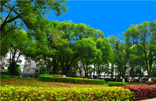 广西科技大学第二附属医院(柳州肿瘤医院)体检中心