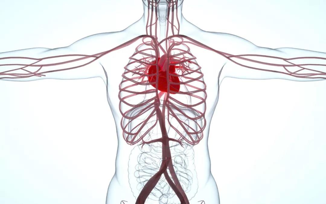 体检指标偏高偏低=有疾病吗?看不懂体检报告的赶紧收藏-健康热点-中康体检网