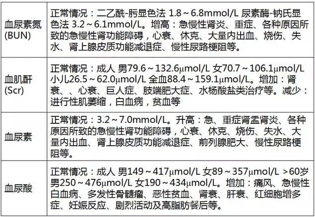 腎功能檢查什麼